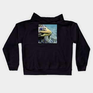 Starfish Underwater Kids Hoodie